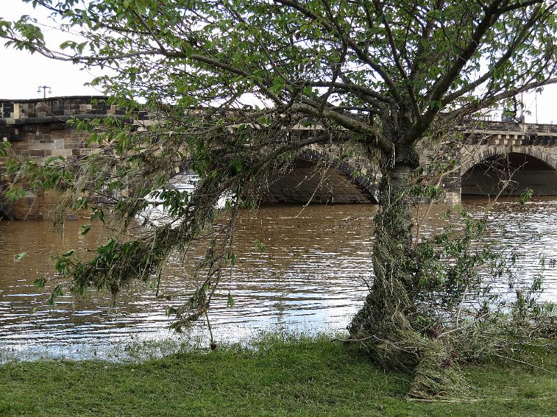 Hochwasser (322).JPG